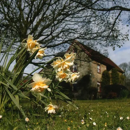 B&B High Farm 4*